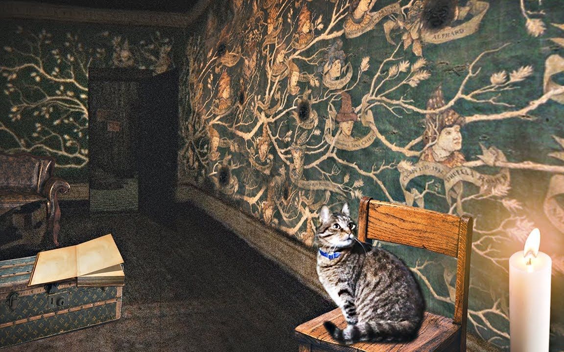 73哈利波特白噪音1小时格里莫广场12号凤凰社总部小天狼星布莱克的