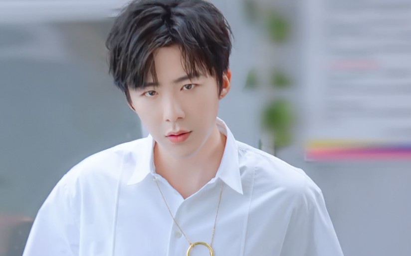 摩登兄弟刘宇宁我的追星人生赢家