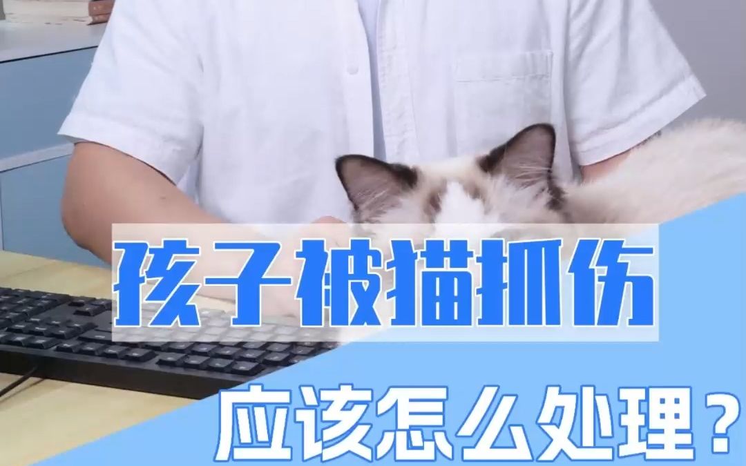 被自家的猫抓伤了,教你三步处理哔哩哔哩bilibili