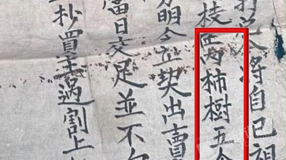 “百年恩怨”居然真的有！俩邻居从乾隆年间为宅基地较劲，一张清朝地契  见证近300年的恩怨。