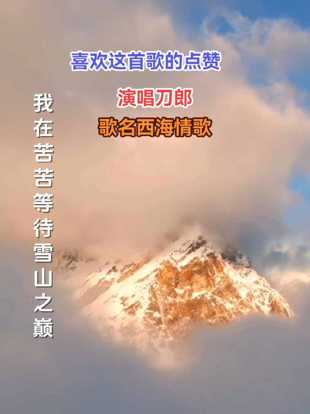 西海情歌歌词 B站