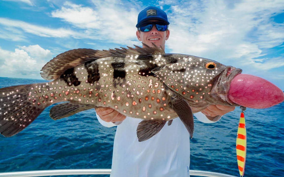 【海钓】罕见的斑点石斑鱼!