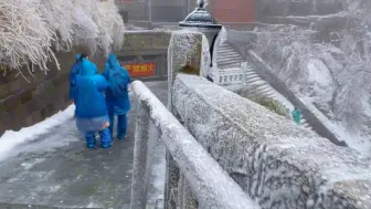 下载视频: 此刻的泰山千里冰封万里雪飘#泰山