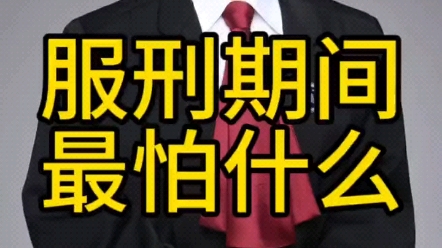 服刑期间最怕什么哔哩哔哩bilibili