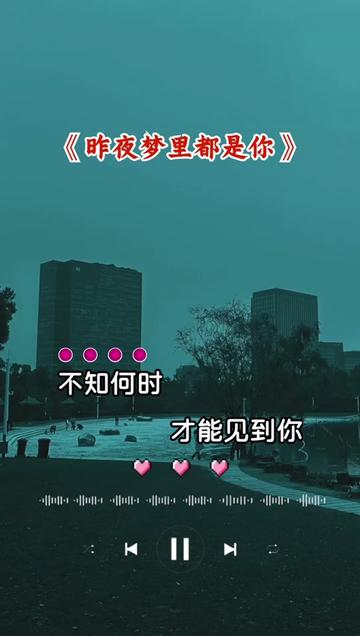 白天的思念,夜晚的梦见,醒来以后除了痛苦就是泪水…我想你了!