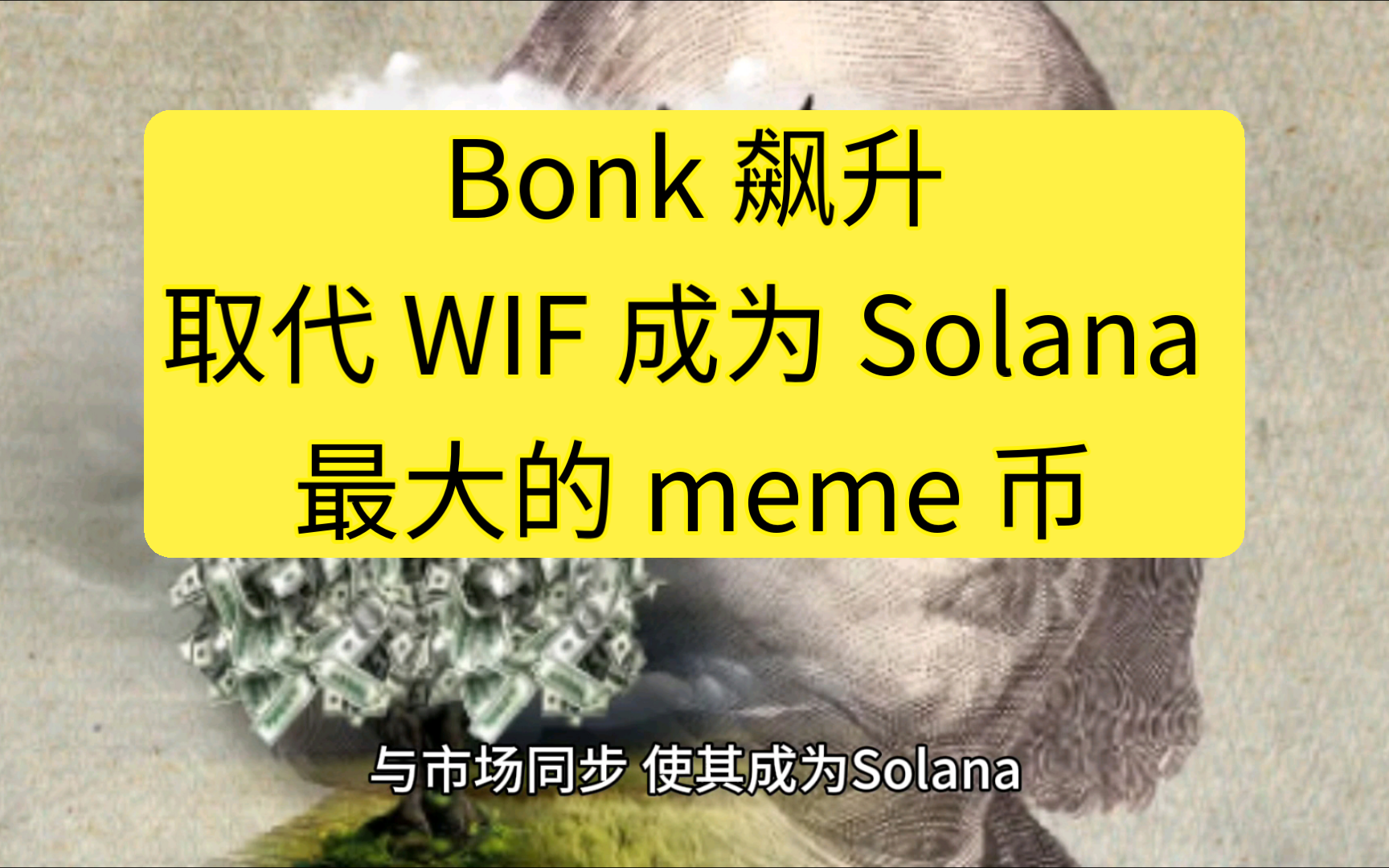 bonk 飙升取代 wif 成为 solana 最大的 meme 币