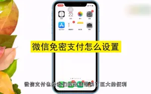 Download Video: 微信免密支付如何开启，开启微信免密支付