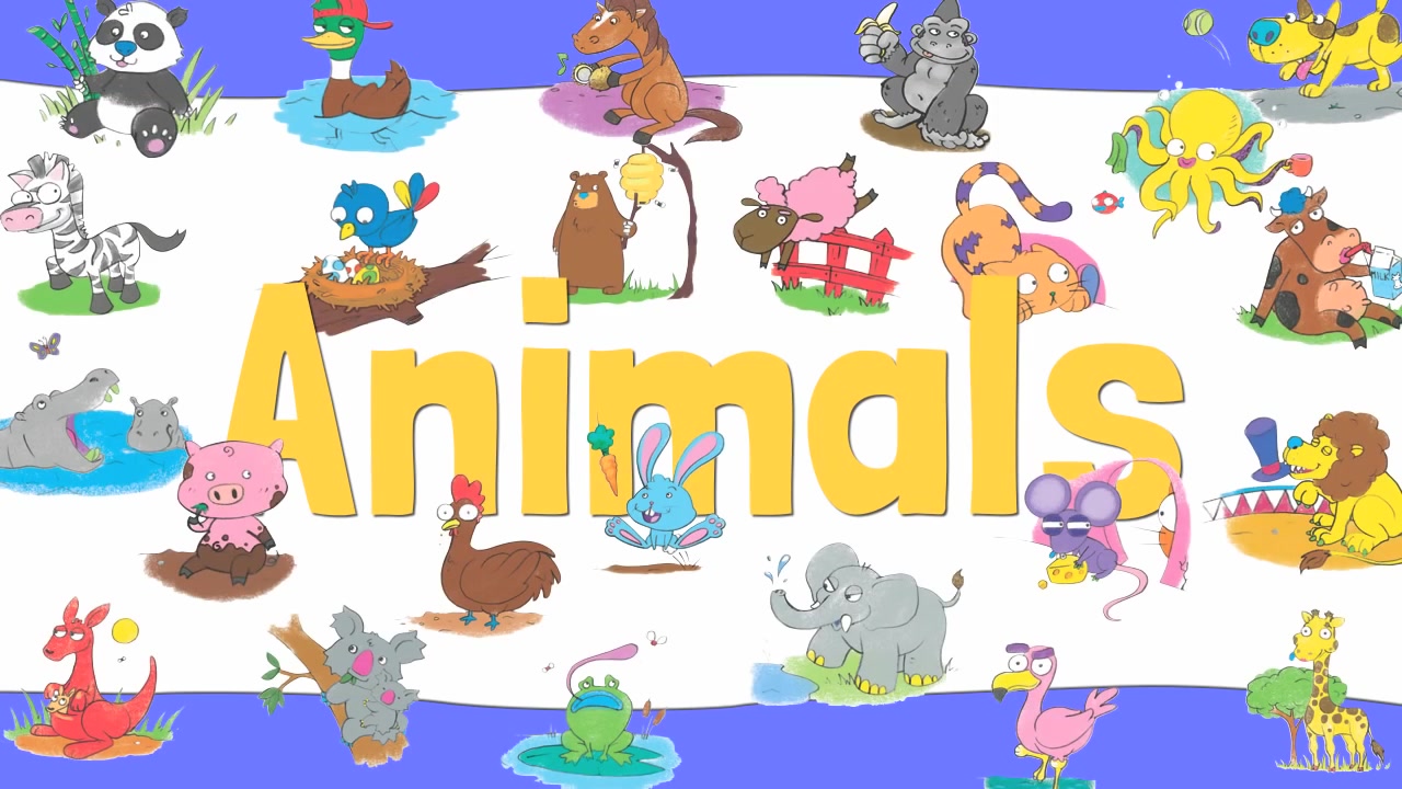 【6】desert animals - pre school - learn english words (spelling
