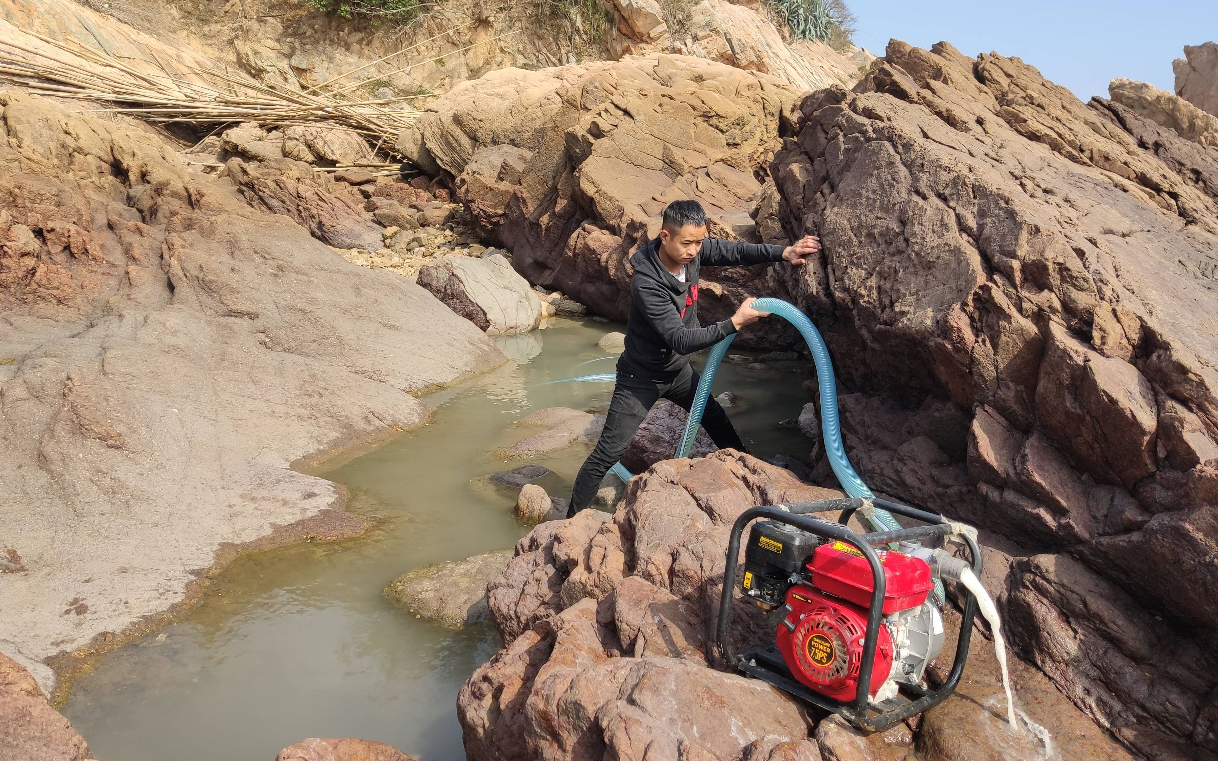小伙赶海痴迷于抽水坑,因为抽干后给你带来的惊喜就跟捡钱一样