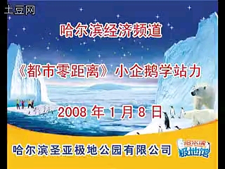 [图]20080108哈尔滨经济频道《都市零距离》小企鹅学站立