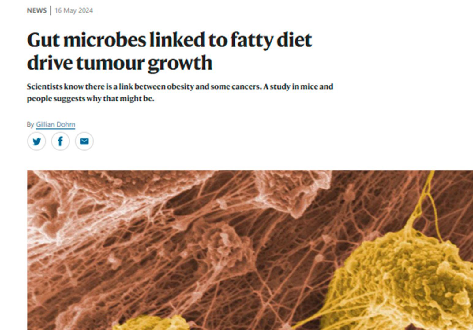 英文外刊阅读与高脂饮食有关的肠道微生物促进肿瘤生长May 2024, Nature哔哩哔哩bilibili