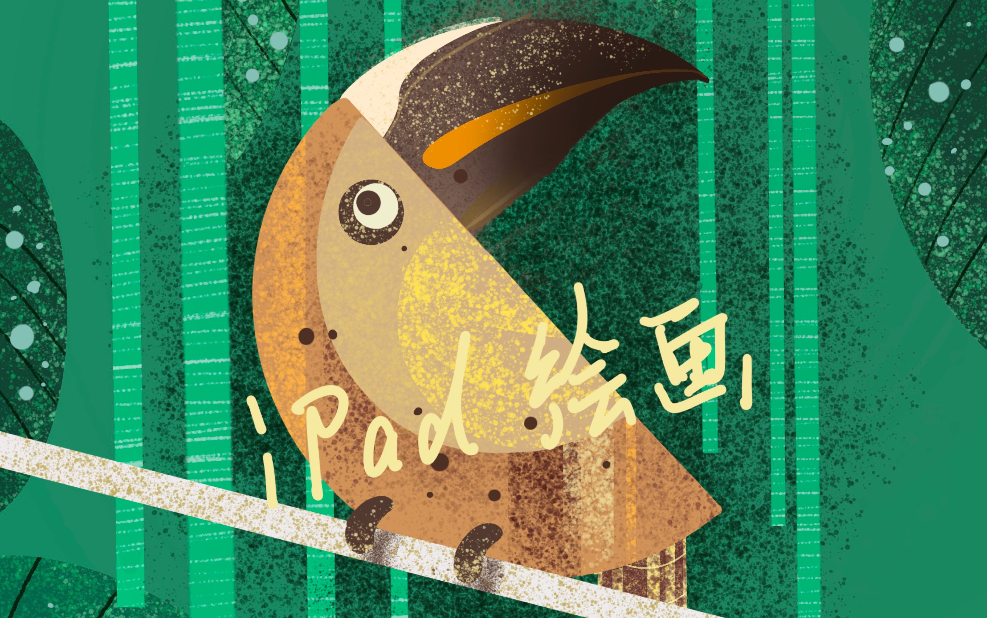 【procreate】ipad绘画练习 犀鸟