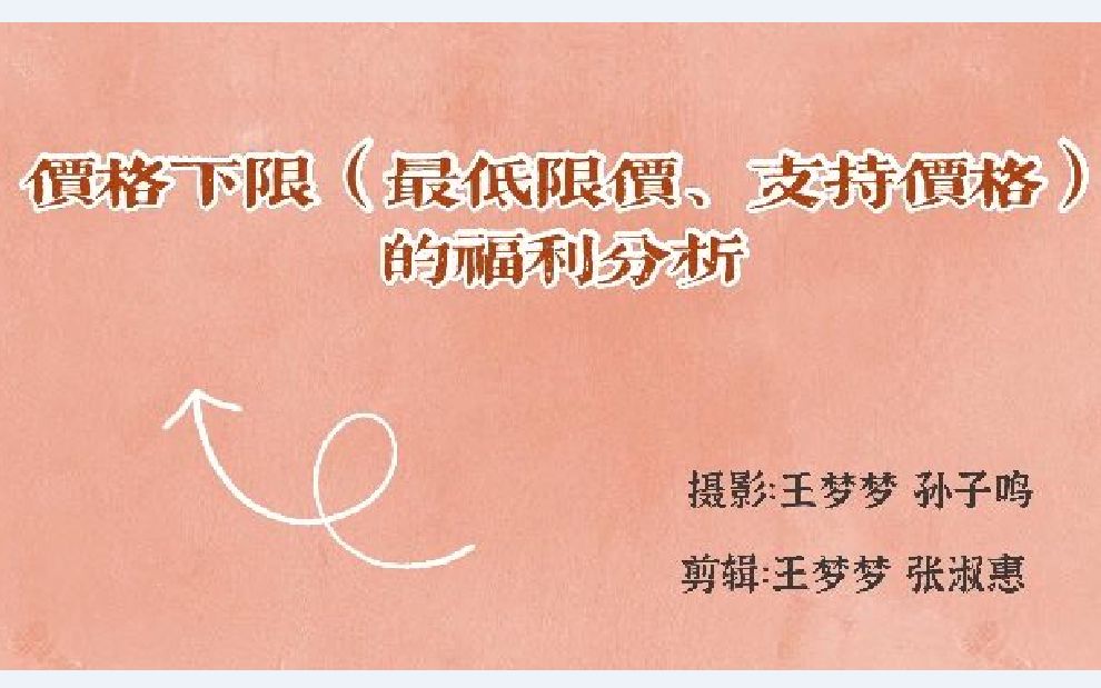 6.9.3价格下限(最低限价、支持价格)的福利分析—微观经济学高鸿业、马工程《西方经济学》哔哩哔哩bilibili