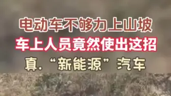 真.“新能源”汽车