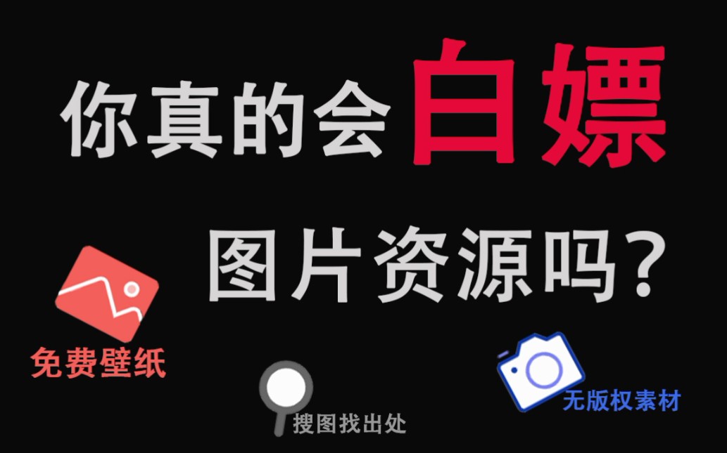 【实用网站合集】白嫖各种图片资源!哔哩哔哩bilibili