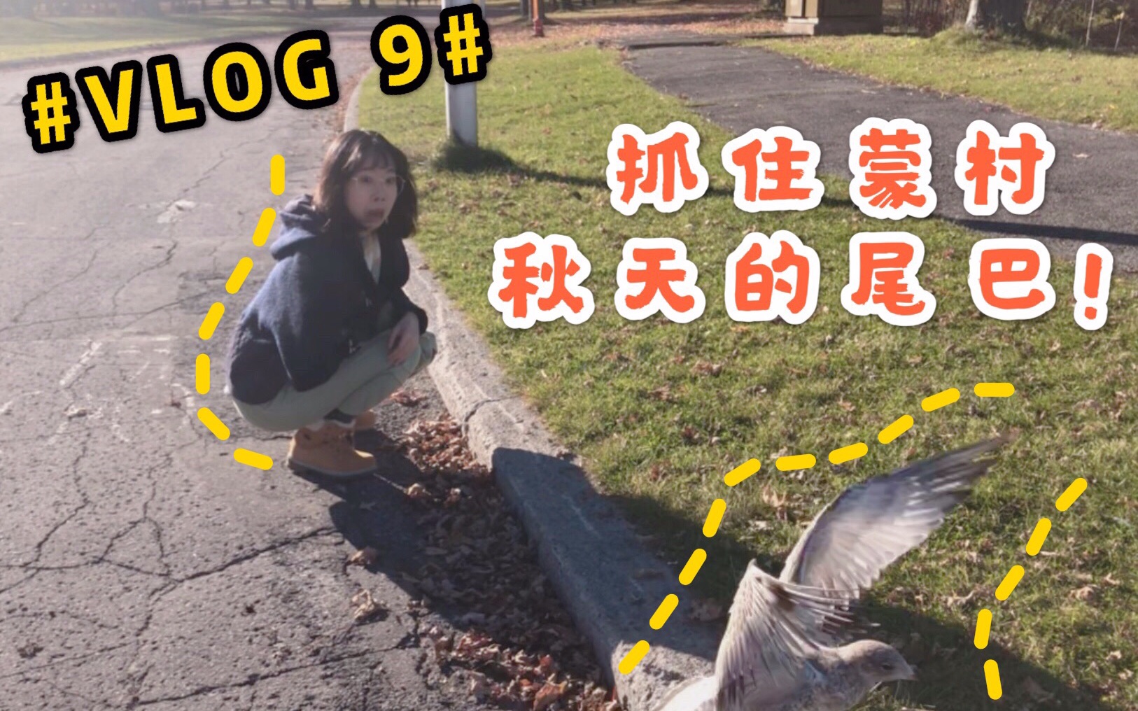 活动  「蒙村游记」广东人终于向加拿大鹅伸出了魔爪!