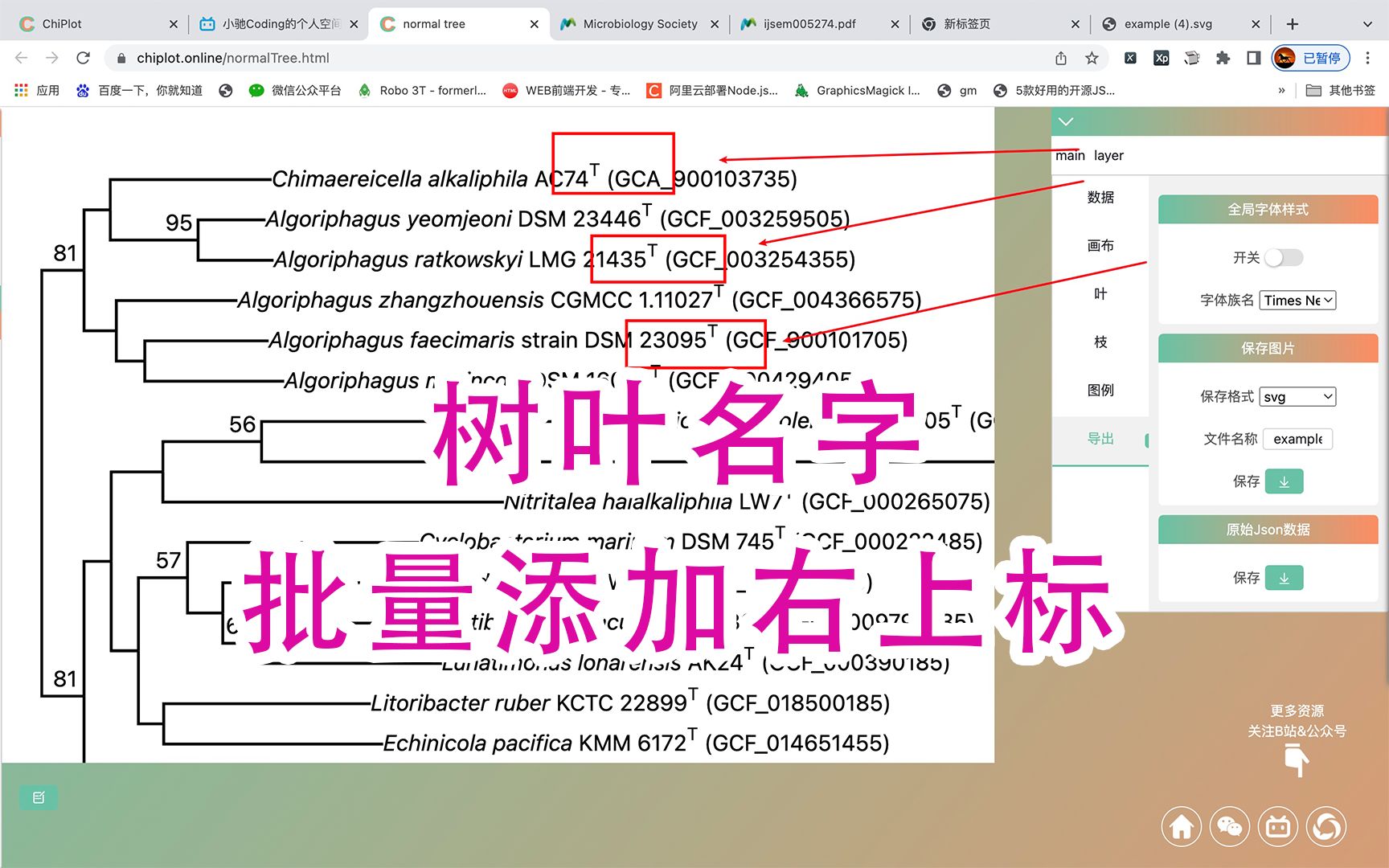 【TVBOT】进化树美化——叶名字批量添加右上标哔哩哔哩bilibili