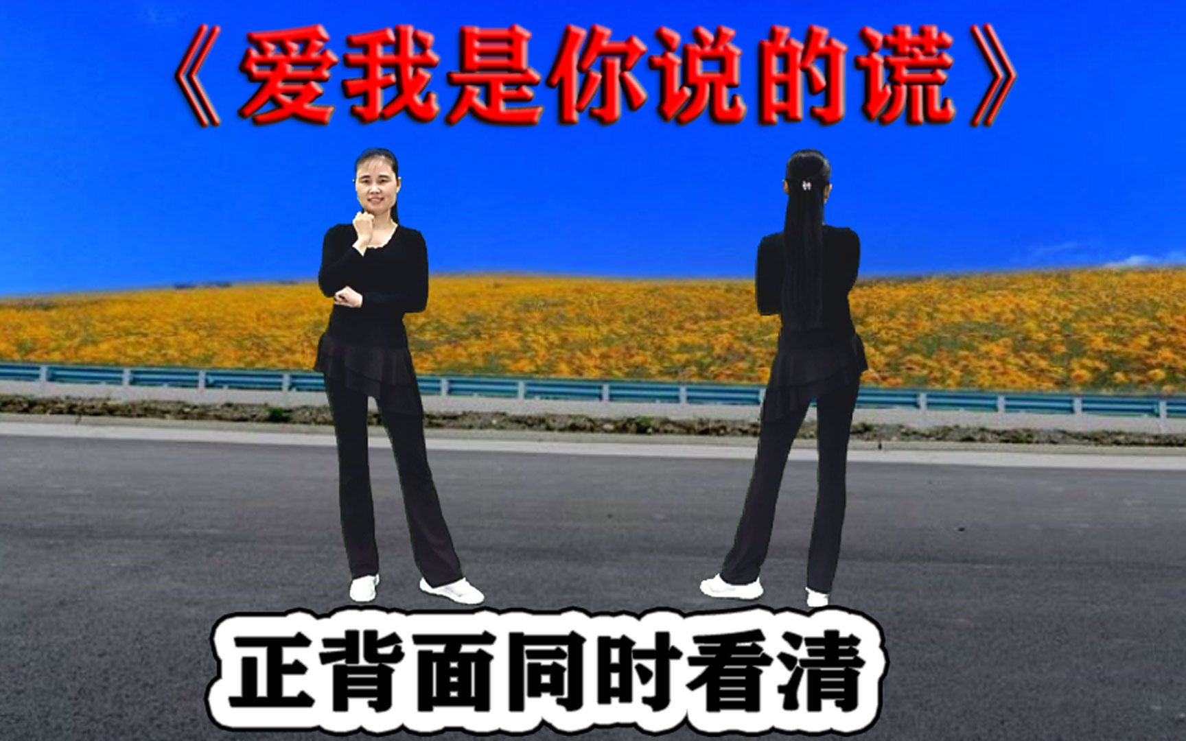 [图]DJ流行舞《爱我是你说的谎》最热版正背面，听歌跟跳都舒坦