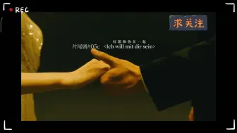 Descargar video: 【伟大CP】 好想和你在一起 Ich will mit dir sein