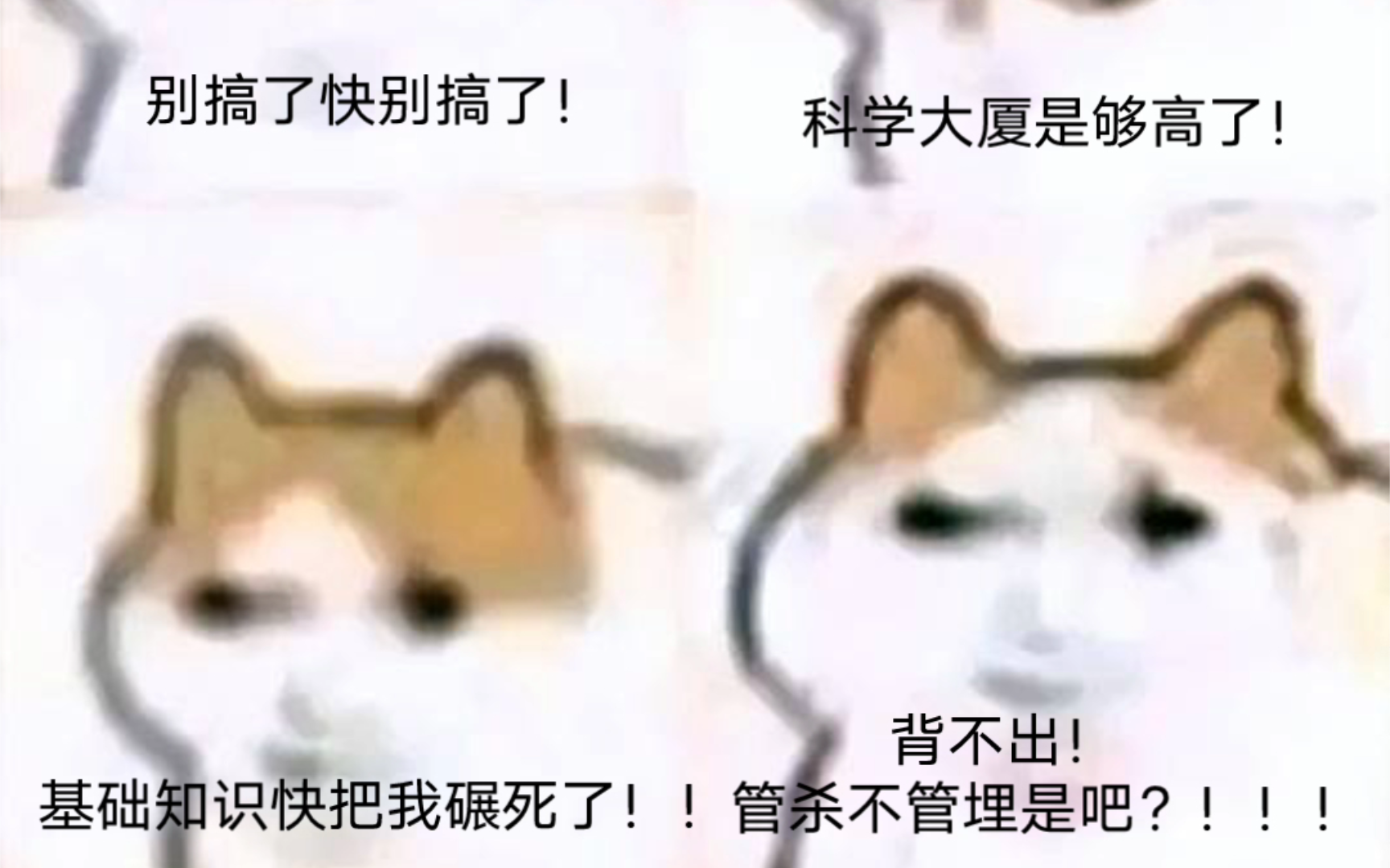 【猫猫me:物化生vs政史地】关于大发展下的学生(简称比惨大会)哔哩哔哩bilibili