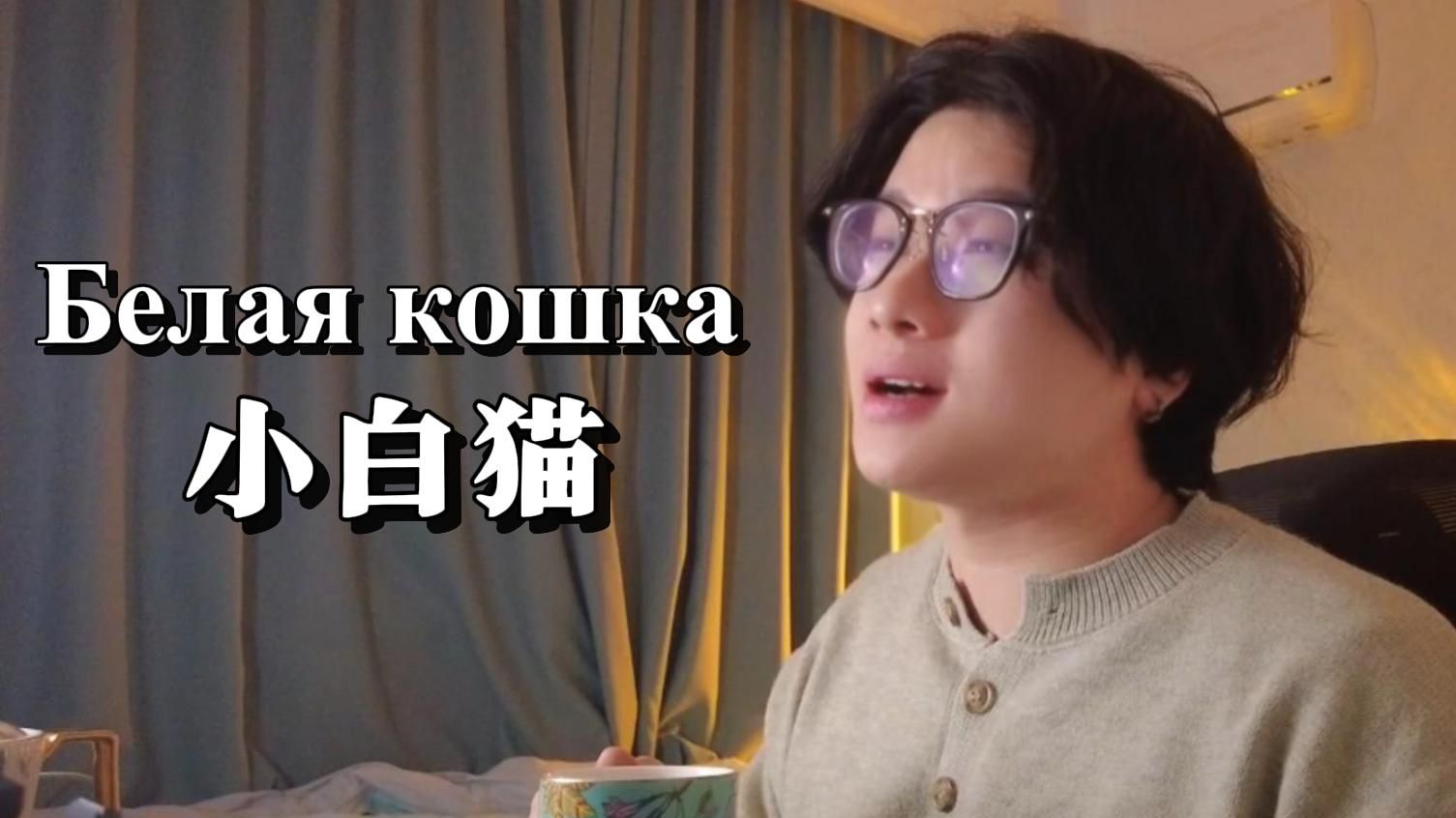 “外面下雪了，沏一杯红茶窝在窗边的沙发”小白猫《Белая кошка》翻唱