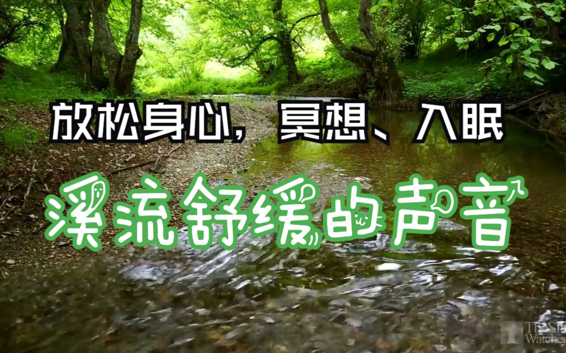 轻松的河流声音  宁静的森林河流  3 小时 白噪音哔哩哔哩bilibili