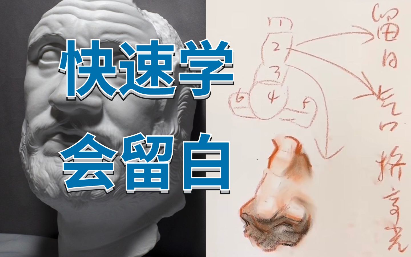 初学学素描需要理解的重点|解剖如果不结合留白等于白学哔哩哔哩bilibili