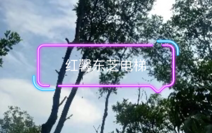 红馨东芝电梯(新版)杰景电梯xin红馨东芝印业哔哩哔哩bilibili