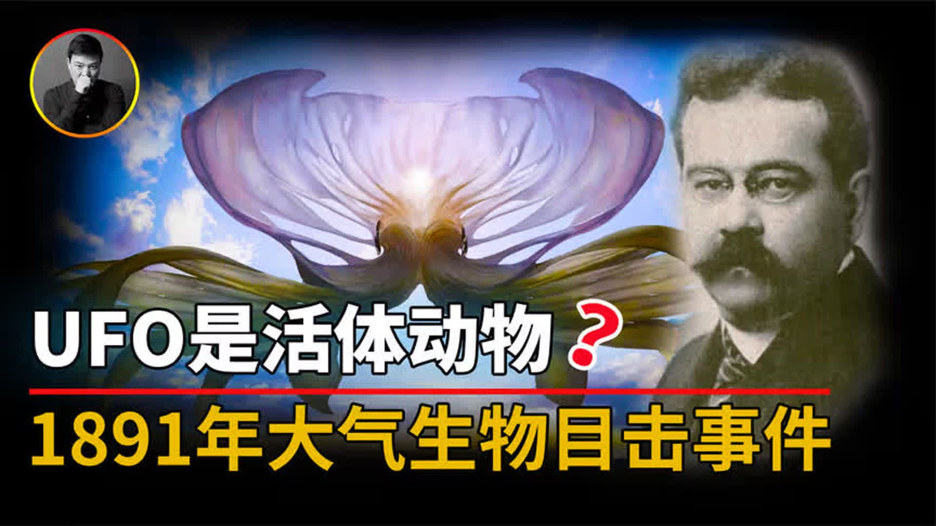 1891年大气生物目击事件,科学家怀疑UFO是活的有机体哔哩哔哩bilibili