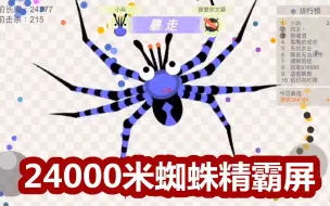 Download Video: 小蛇斗蜈蚣：24000米毒蜘蛛霸屏 超长的大脚横扫全场