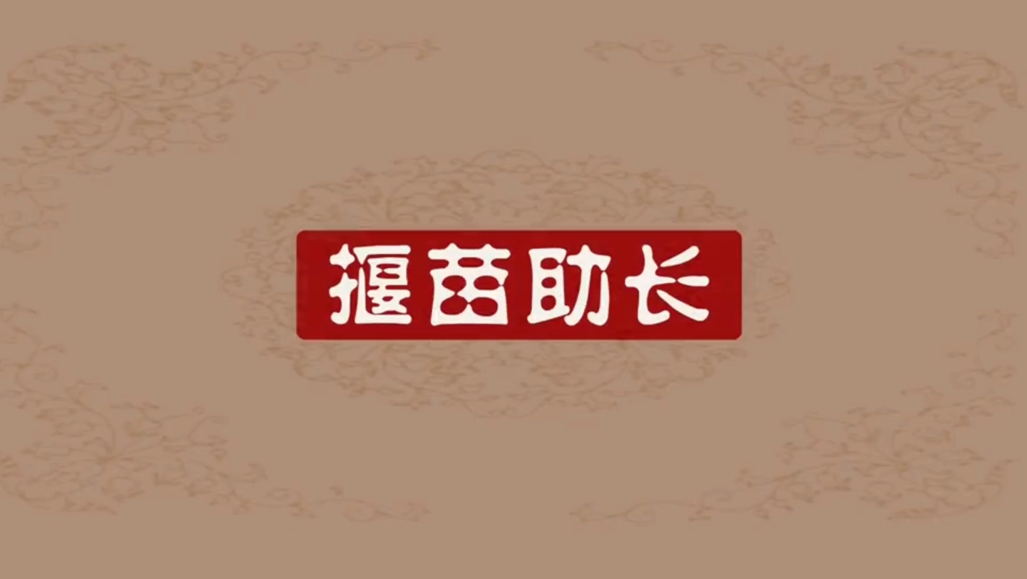 二年级语文下册同步讲解《揠苗助长》,看动画学语文.哔哩哔哩bilibili