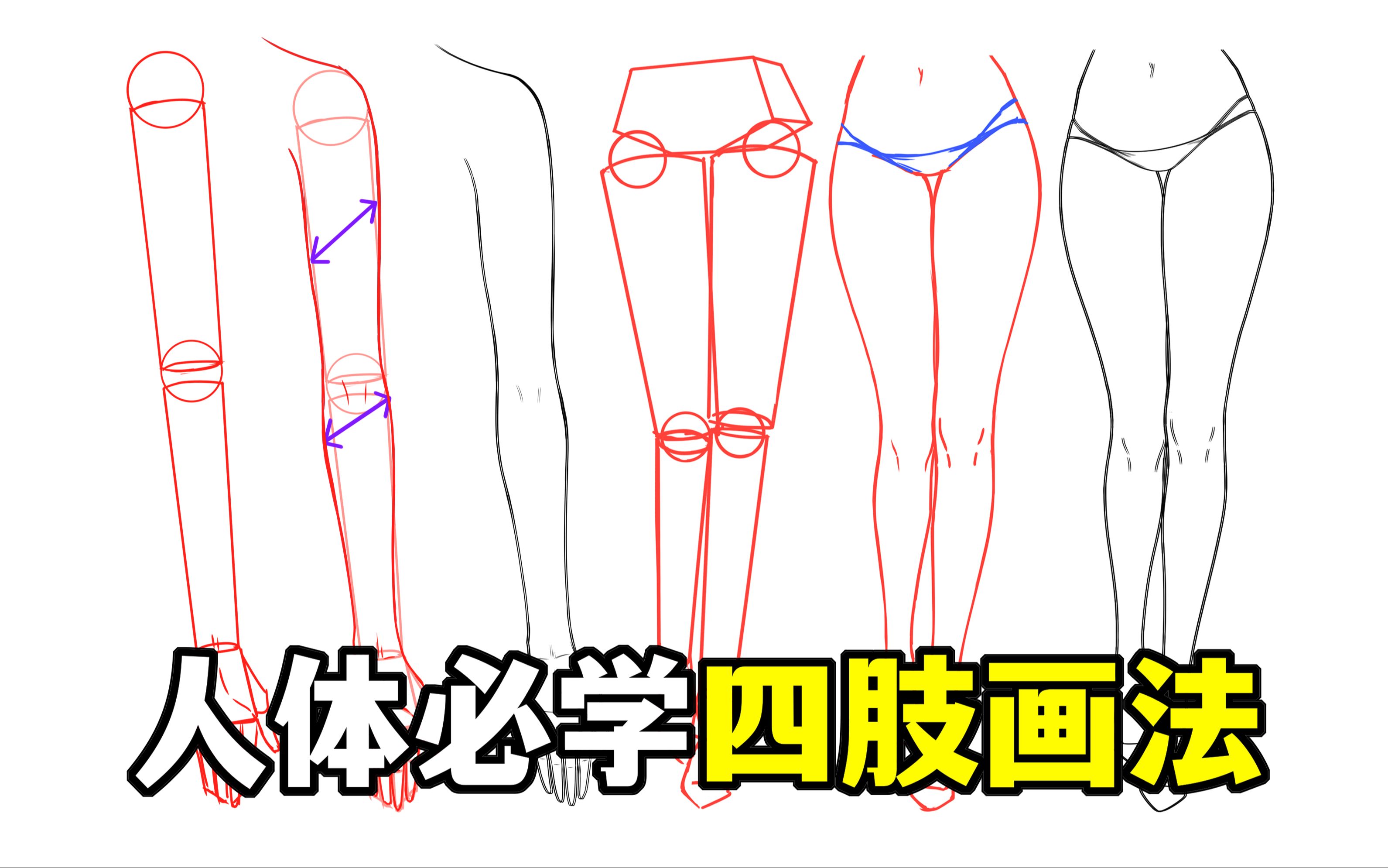 怎样更自然?人体废必学的四肢画法!【轻微课 一看就绘-1273期】