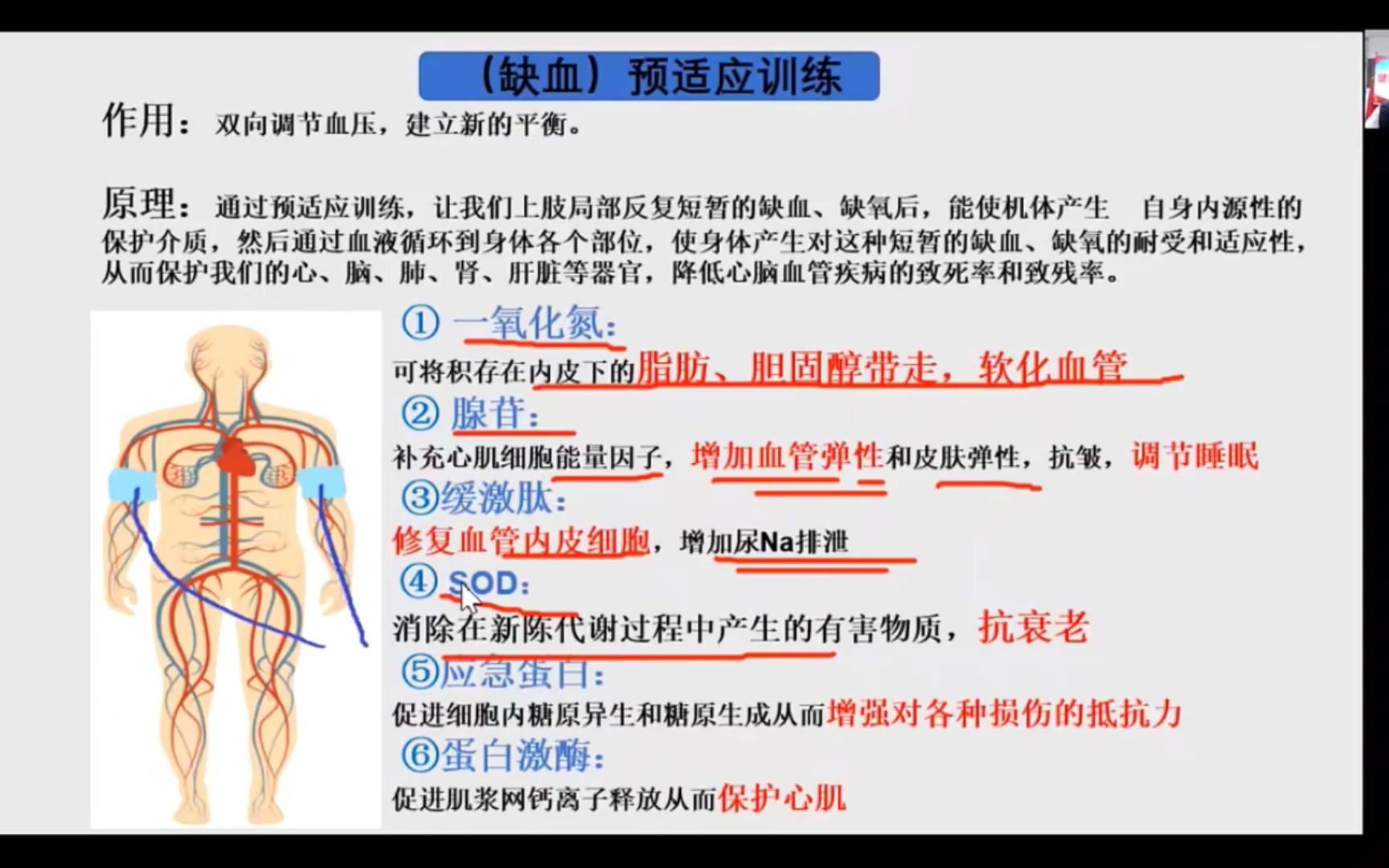 《缺血预适应训练》预防疾病健康又抗衰老养颜,不能不爱呢!