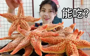 Descargar video: 大连人竟然没有吃过海星，尝试后发现是美味，后悔以前扔了那么多