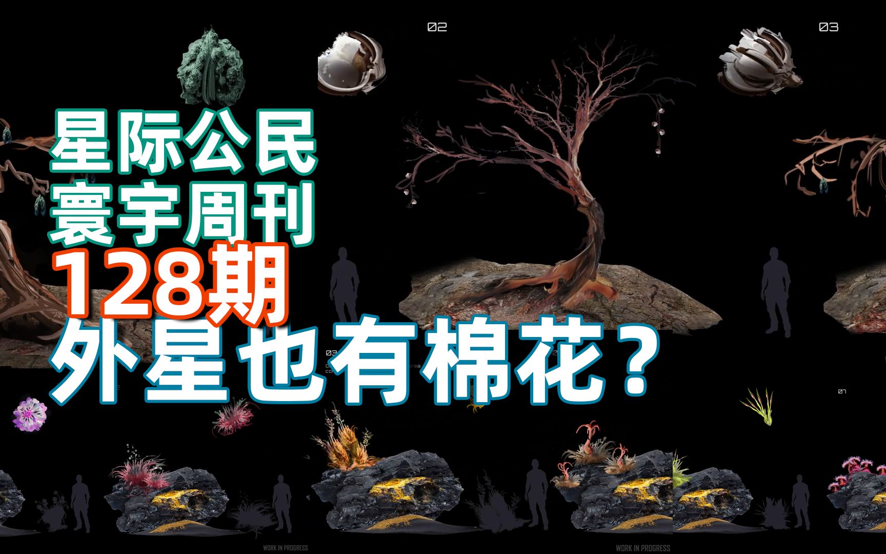 【寰宇周刊】第128期外星也有棉花吗?星际公民哔哩哔哩bilibili