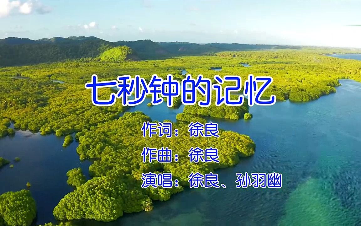 徐良,孙羽幽 - 七秒钟的记忆