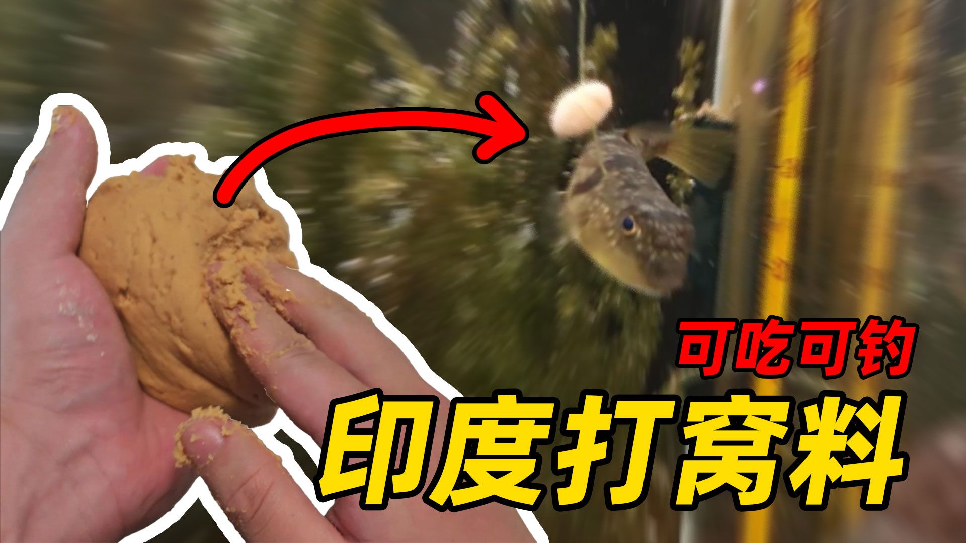 三秒钟教会你制作印度美食，不好吃还能拿去打窝