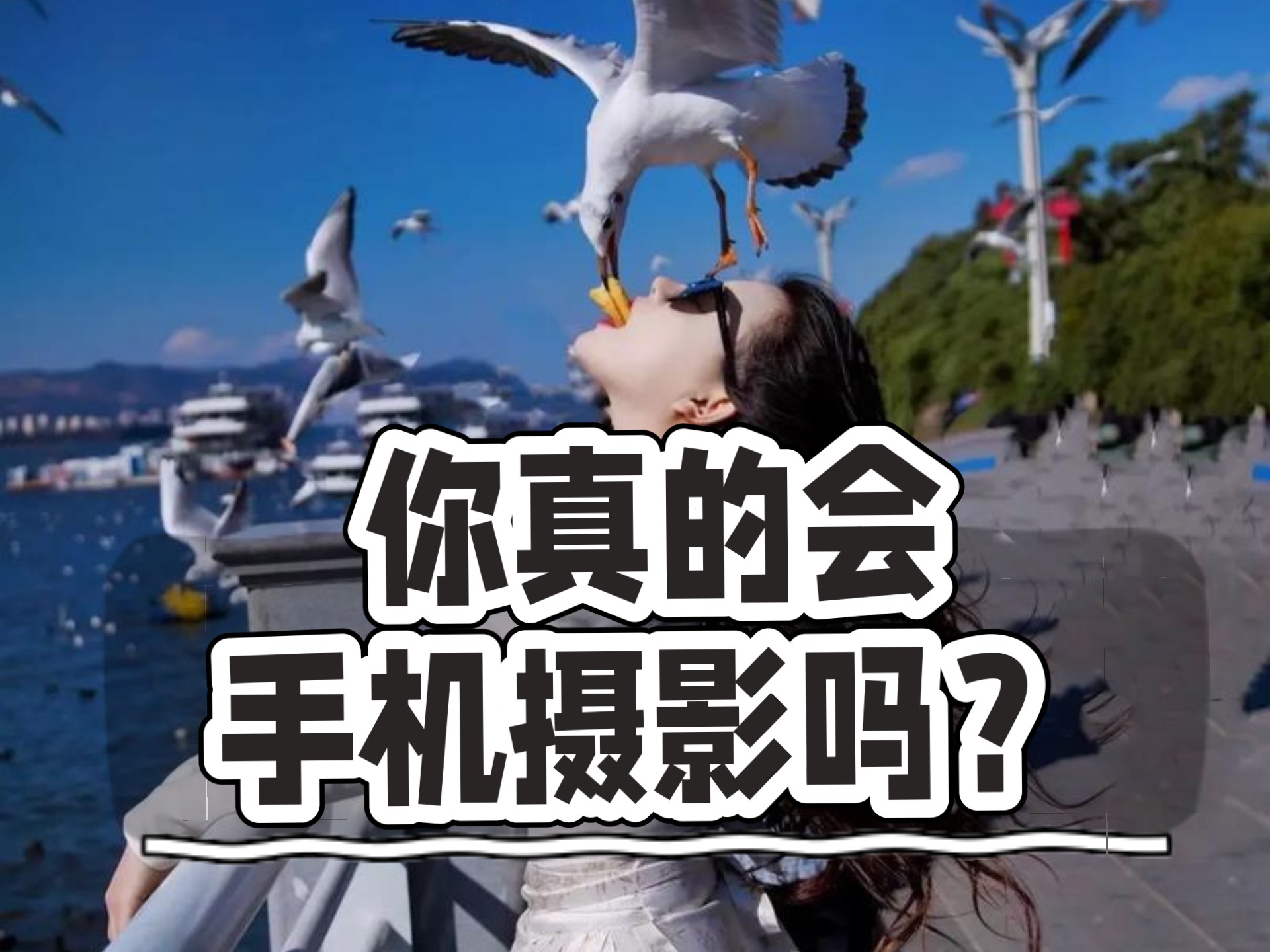 摄影拍摄教程视频简单,技巧大全 摄影拍摄教程视频简单,技巧大全