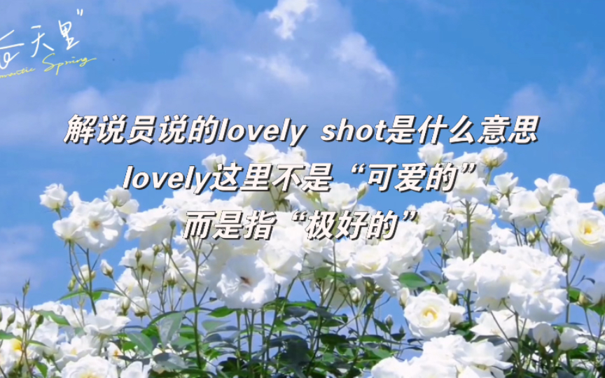 【看乒乓球学英语】解说员常说的lovely shot是什么意思哔哩哔哩bilibili