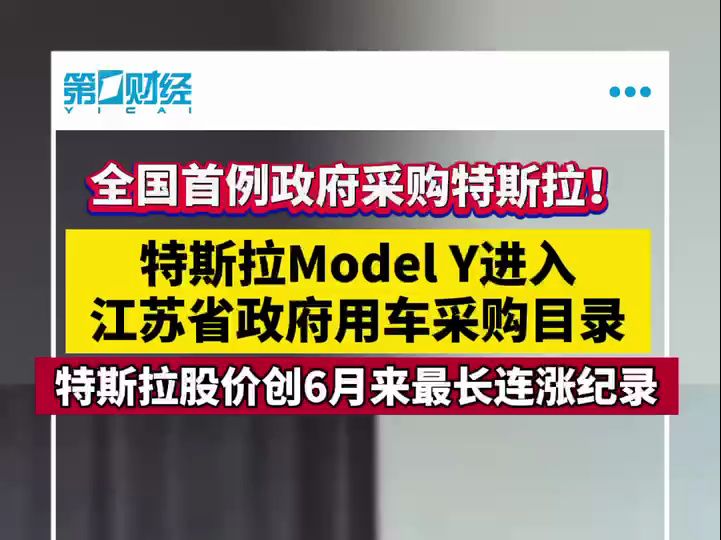 全国首例政府采购特斯拉 特斯拉Model Y进入江苏省政府用车采购目录哔哩哔哩bilibili