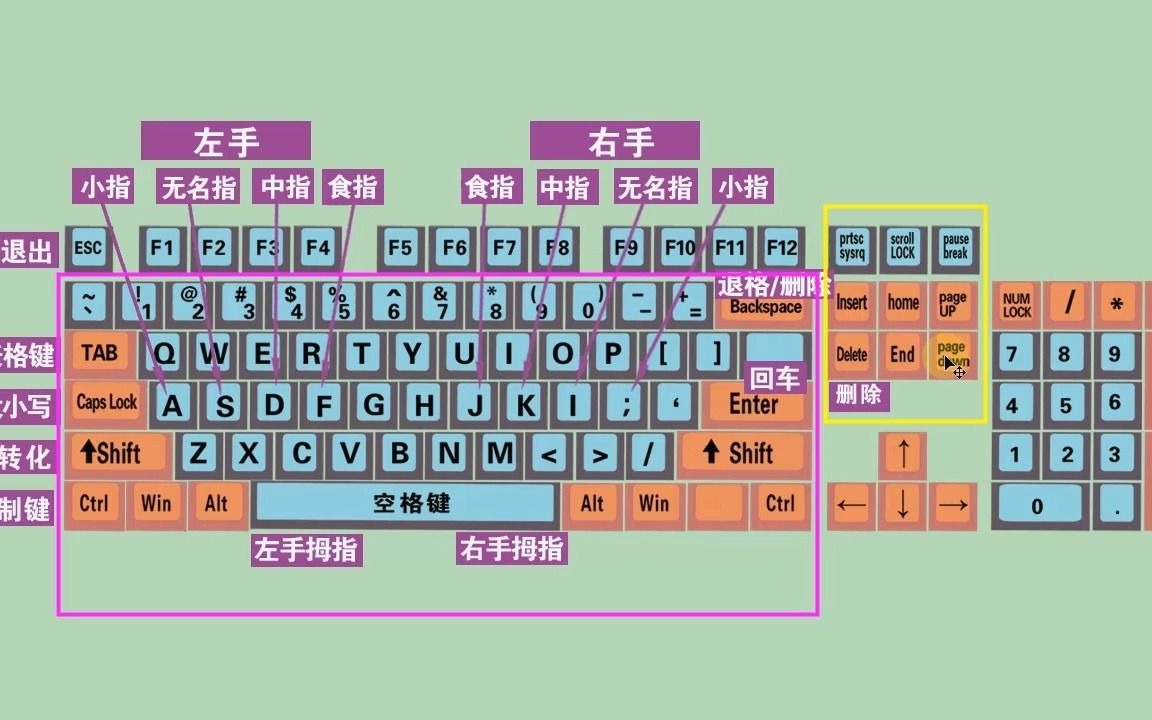 零基础快速学打字教程,键盘打字快速入门哔哩哔哩bilibili