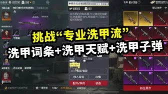 Descargar video: 挑战“专业洗甲流”，洗甲词条+洗甲天赋+洗甲子弹，打谁谁难受！