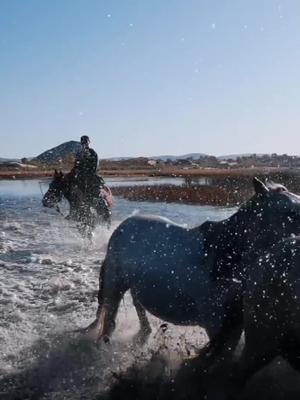 夜阑卧听风吹雨铁马冰河入梦来