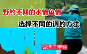 Video herunterladen: 野钓不同的水情鱼情，选择不同的调钓方法，调漂三字经