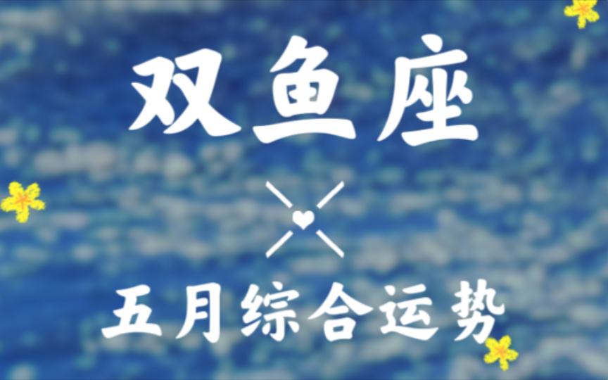 双鱼座五月超详细综合运势播报“快乐的向前”哔哩哔哩bilibili