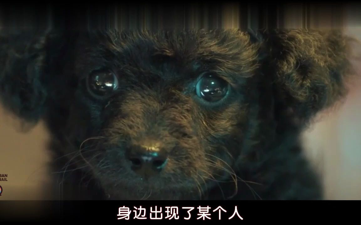 [图]等待救赎还是自我救赎【BLACK DOG】