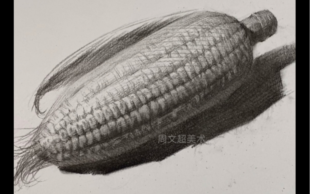 素描玉米 静物图片