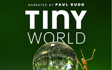 动物自然纪录片小小世界2021精编版全6集4k超清