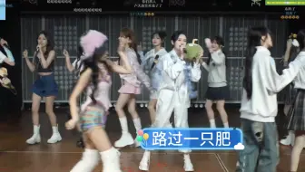 什么歌 椰子鸡之歌？今日之星MVP 青钰雯 | 青锅太爱椰子鸡了【青钰雯】