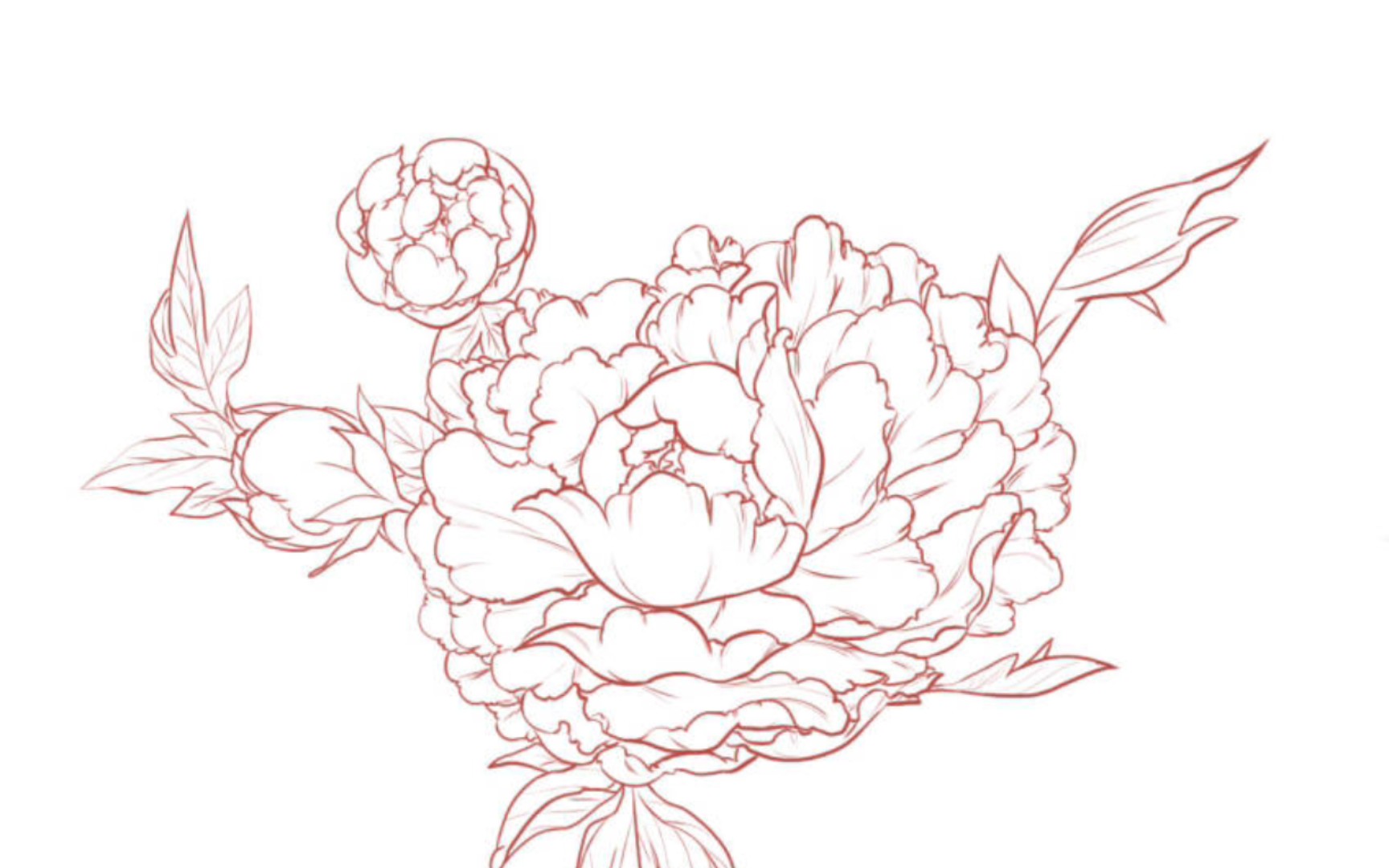 牡丹(花系列4/100)